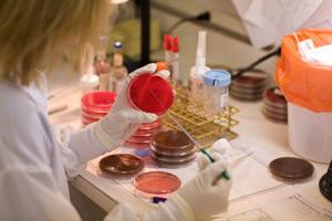 Student setting up microbiology plates during student lab session.